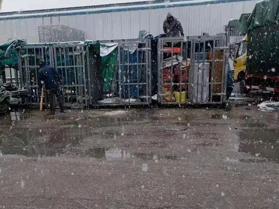 1679884762113840.jpg 万里哥风雪郑油磨1.jpg