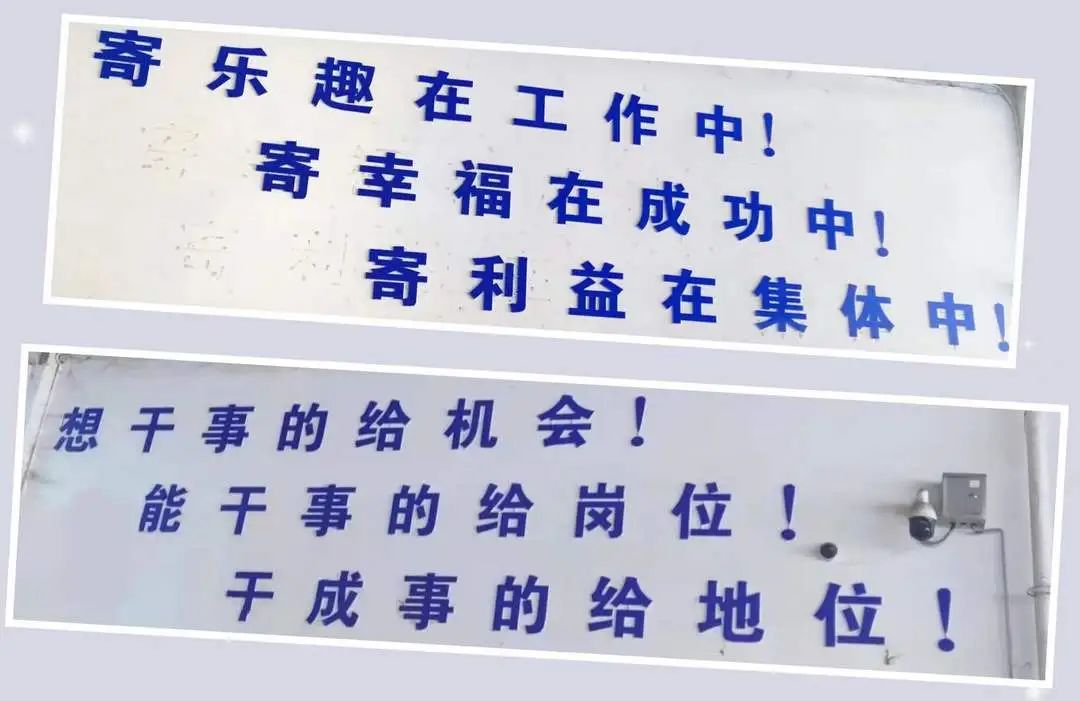 回眸2023系列报道万里物流之企业文化篇2.jpg